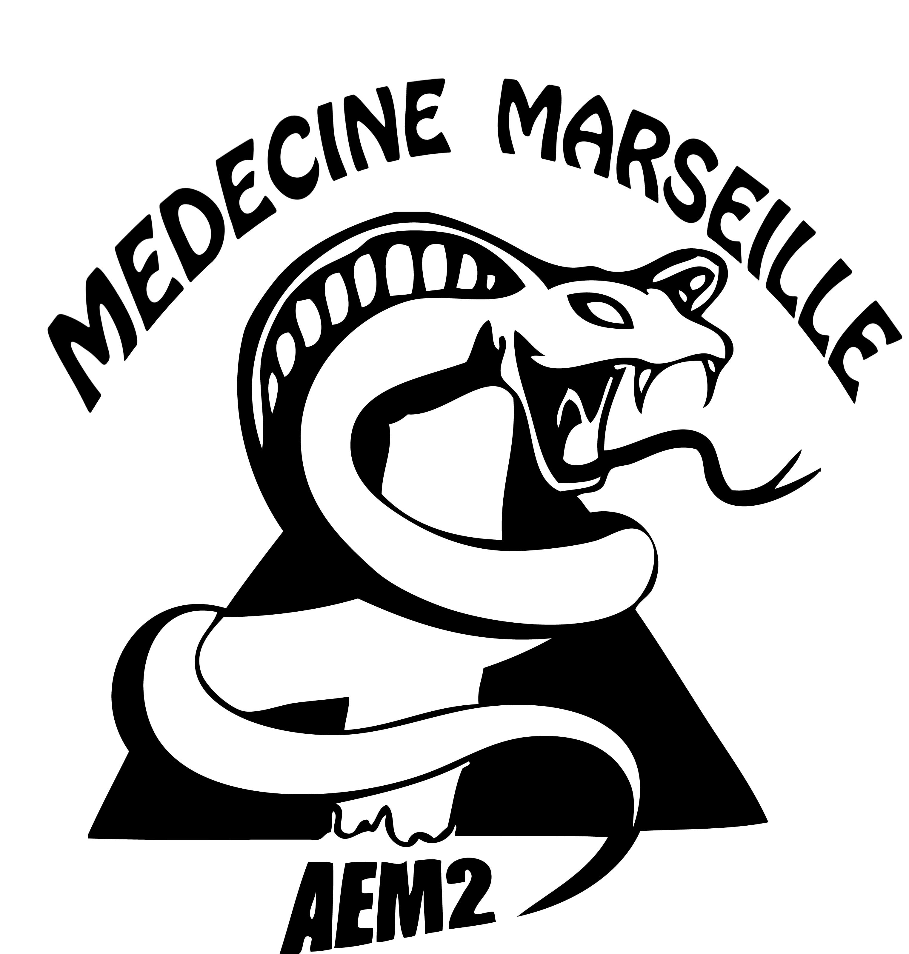 Logo AEM2